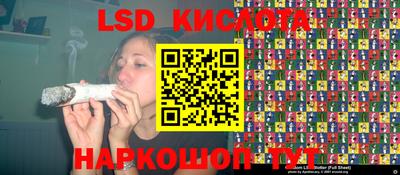 ПСИЛОЦИБИНОВЫЕ ГРИБЫ Заволжье