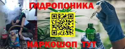 ПСИЛОЦИБИНОВЫЕ ГРИБЫ Заволжье
