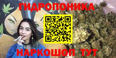 ПСИЛОЦИБИНОВЫЕ ГРИБЫ Заволжье