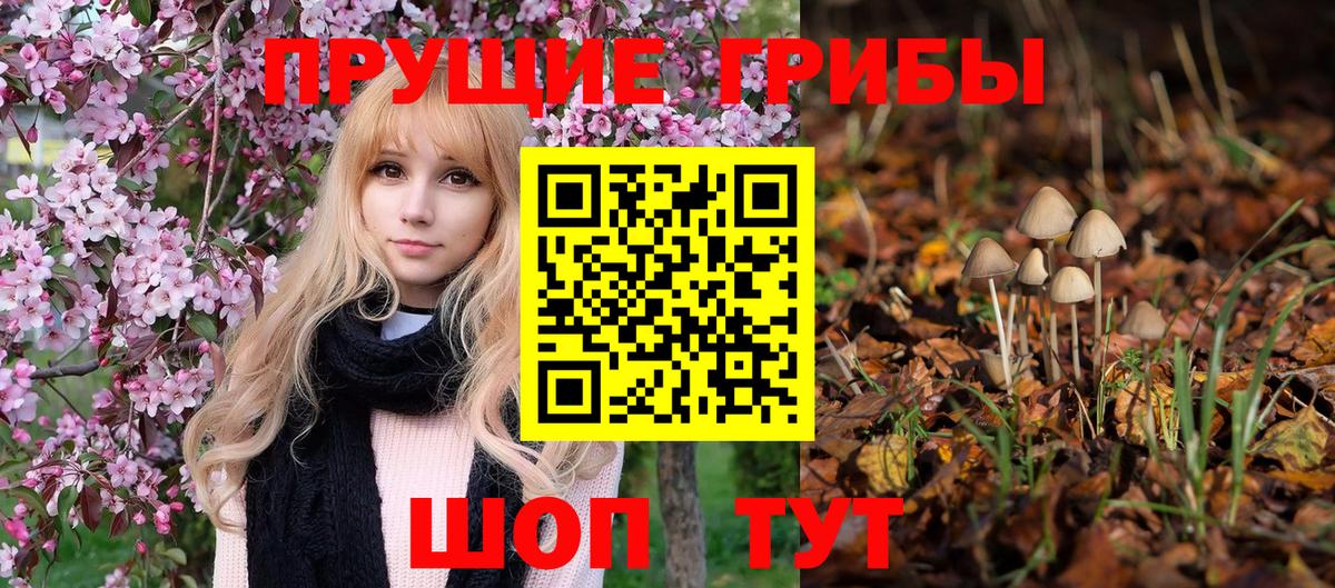 Галлюциногенные грибы мицелий Красный Сулин