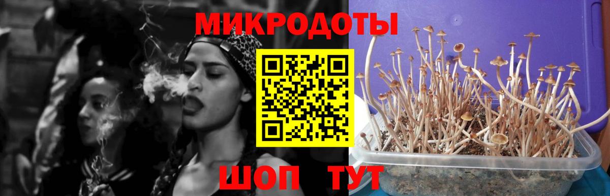 Псилоцибиновые грибы Psilocybine cubensis  Вход с VPN  Красный Сулин  Галлюциногенные грибы Cubensis 