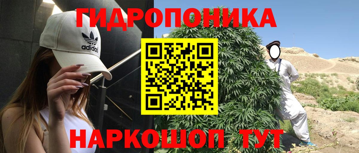 Шишки марихуана марихуана Красный Сулин